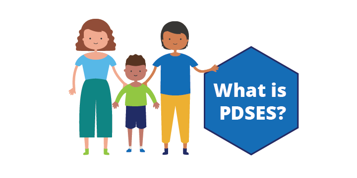 What is PDSES?